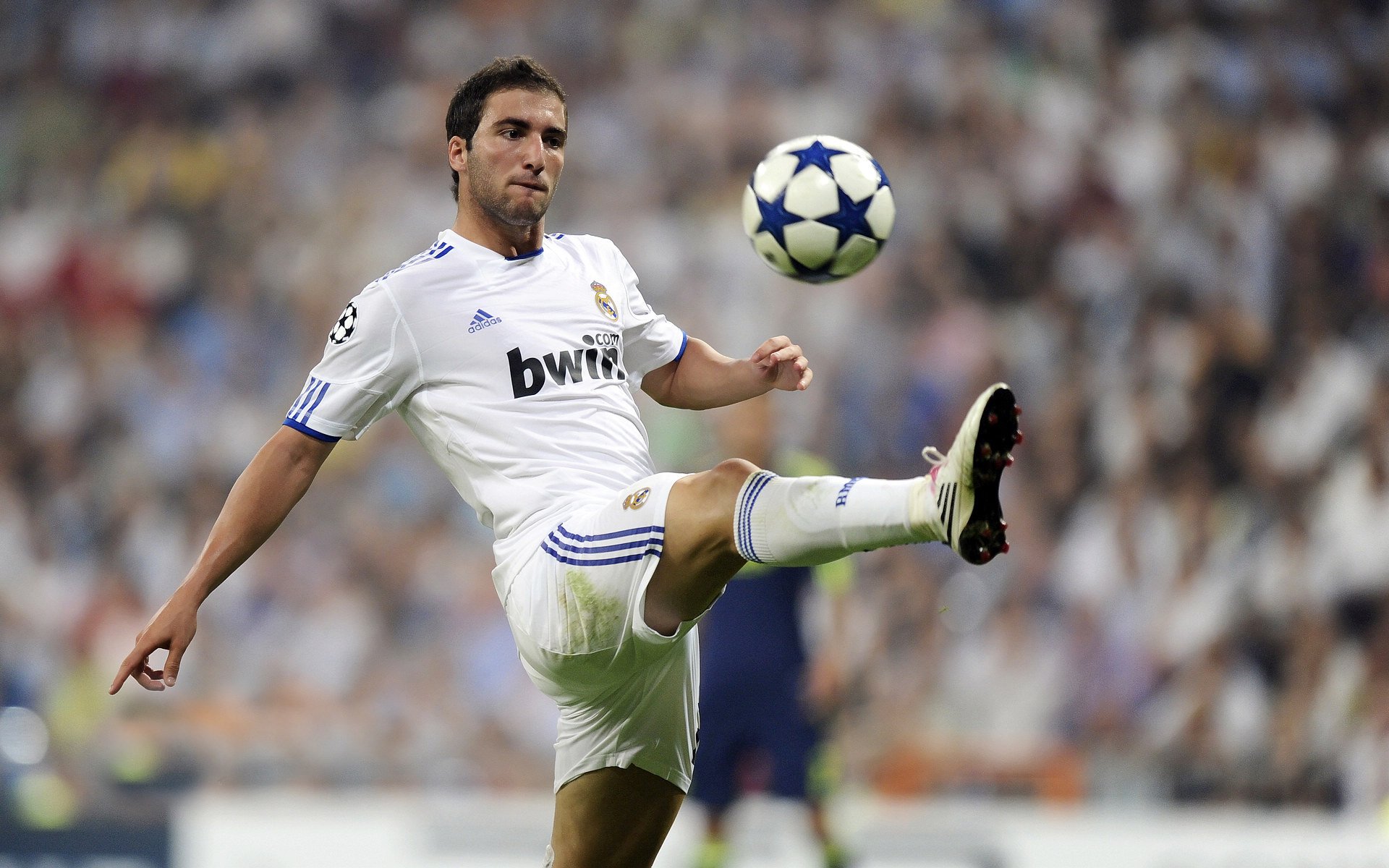 kaiyun登录入口-“帕布罗·马特拉的激励作用，成为阿根廷美洲狮队的领军人物”